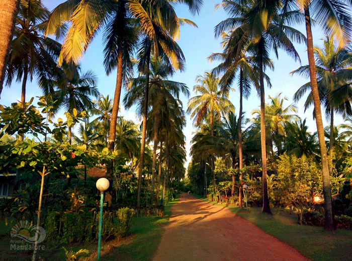 Summer Sands Beach Resort, Mangalore