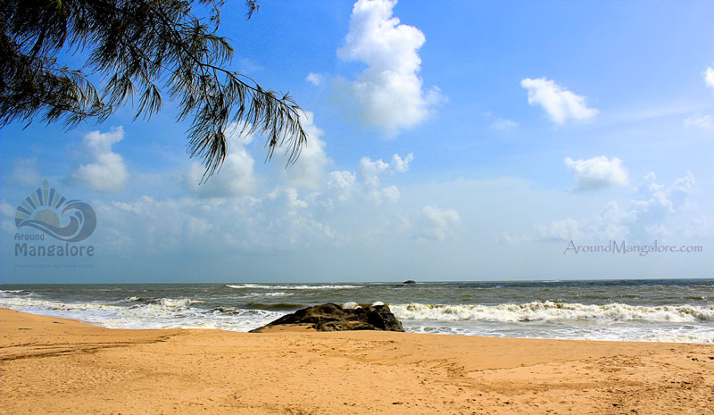 TurtleBay on Sea - A jüSTa Resort - Trasi, Kundapur (Turtle Bay Beach Resort)