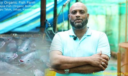 Sky Organic Fish Farm - Tilapia Fish - Kapu, Udupi