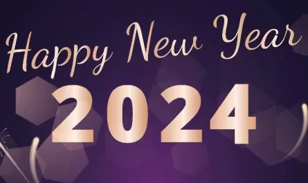 New Year 2024 - Party & Events in Mangalore